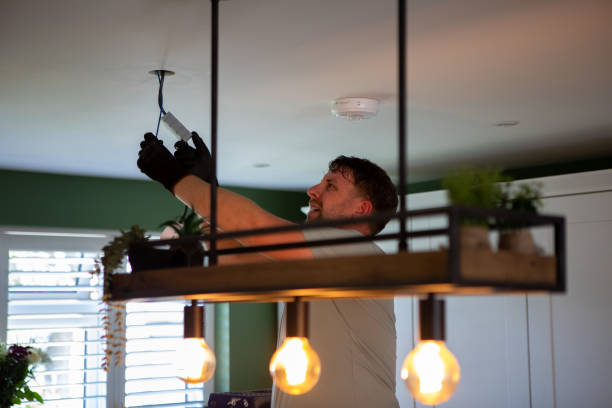 Best Electric Panel Repair  in Ddleville, MI